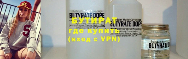 дмт Бородино