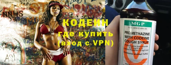 дмт Бородино